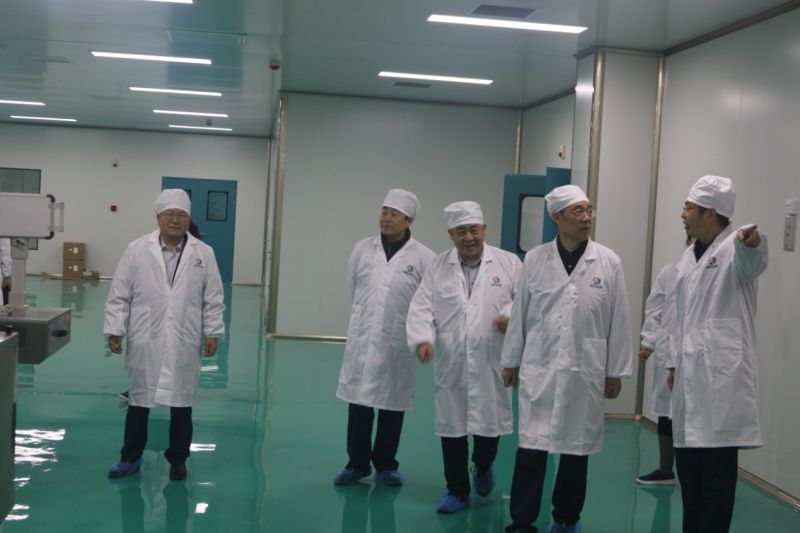 牛年志昂揚