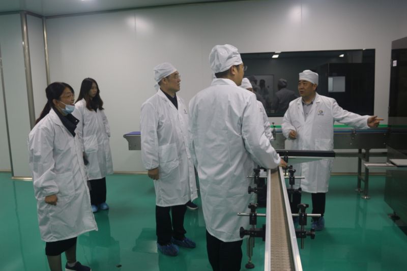 牛年志昂揚